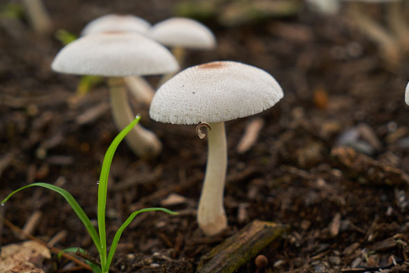 先進(jìn)的管理模式