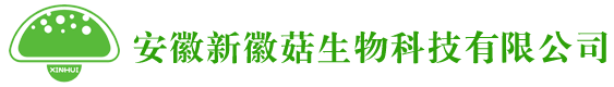 合肥食用藥用菌種植|菌菇種植基地|合肥菌菇基地-安徽新徽菇生物科技有限公司