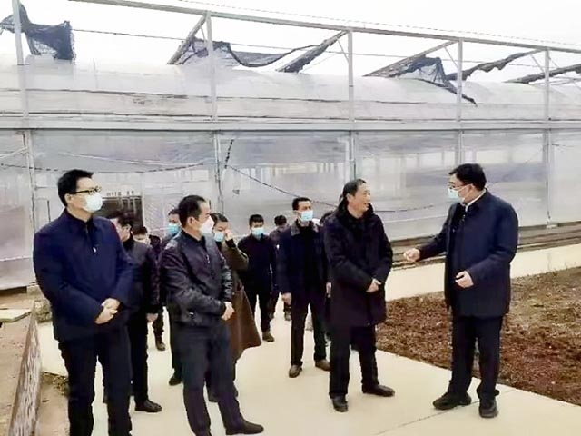 合肥市政府領(lǐng)導(dǎo)朱勝利視察安徽新徽菇生物科技公司