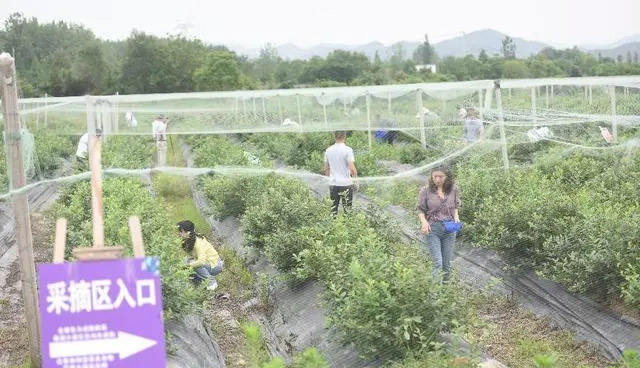 1689922566182212.jpg 2.jpg