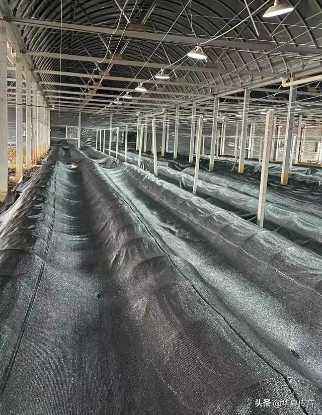 1702446875195177.jpg 6bb37b8ceccaab9de985148e643bd5b.jpg