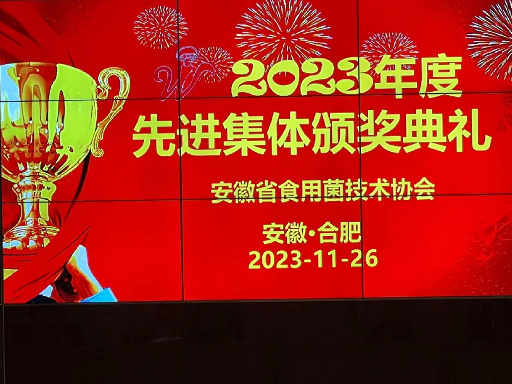 先進(jìn)集體及先進(jìn)個人表彰大會----安徽新徽菇生物科技有限公司
