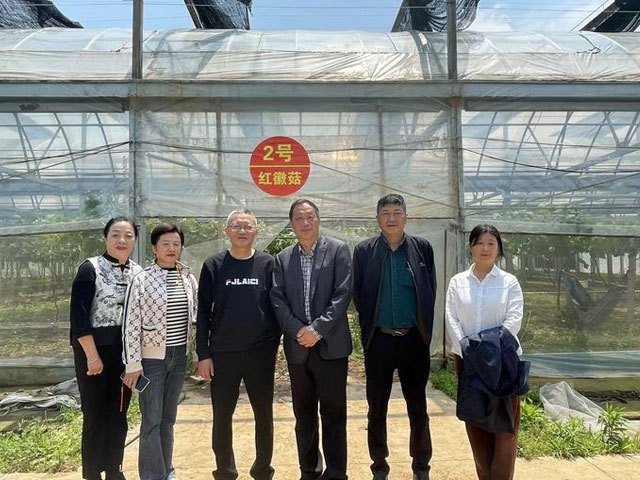 宜商總會(huì)秘書長張翼訪問新徽菇 推動(dòng)鄉(xiāng)村振興合作