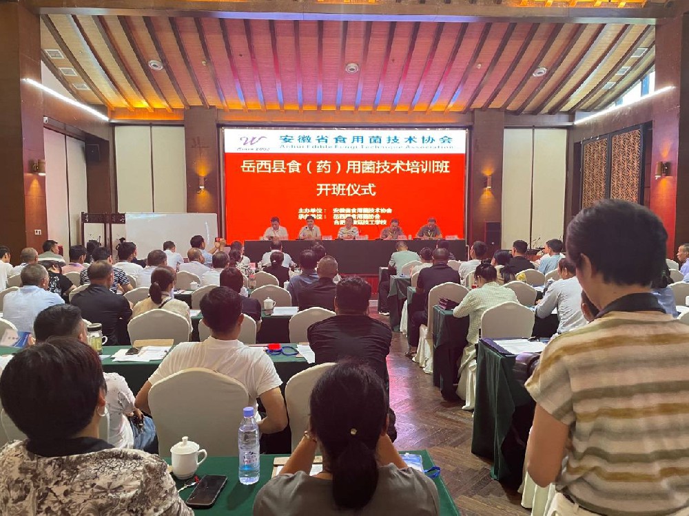 “安徽省科技特派團(tuán)在行動(dòng)” ——岳西縣桑枝食藥用菌省級(jí)科技特派團(tuán)系列活動(dòng)之六