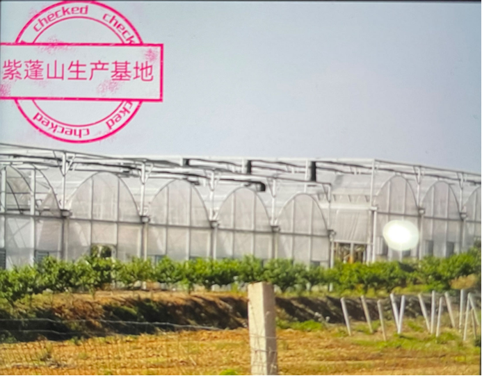 肥西生產(chǎn)基地