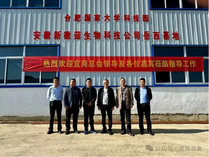 1729831710816053.png image.png